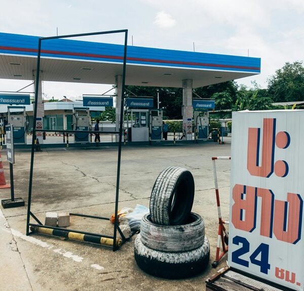 trusted backlink services offered