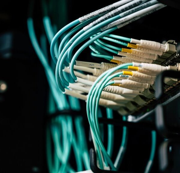 dynamic cloud suite online network