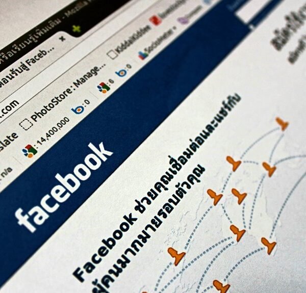 dynamic web engine branding details